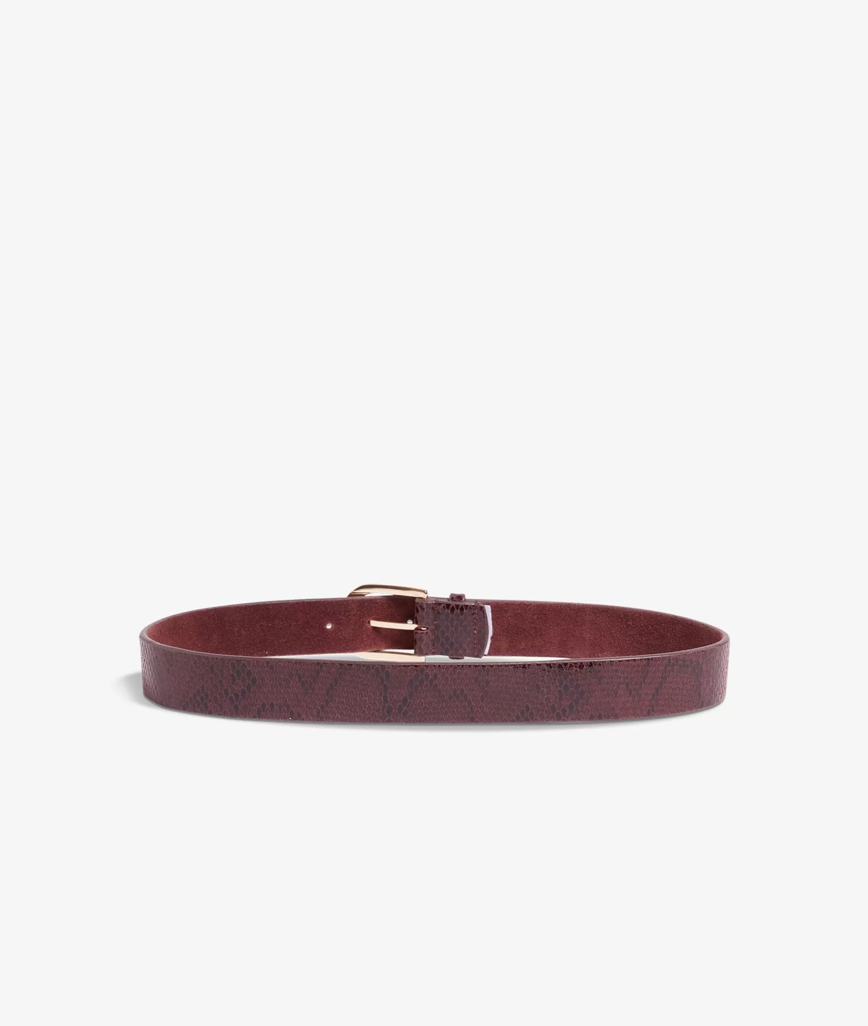 Etam Belts>Leather Belt